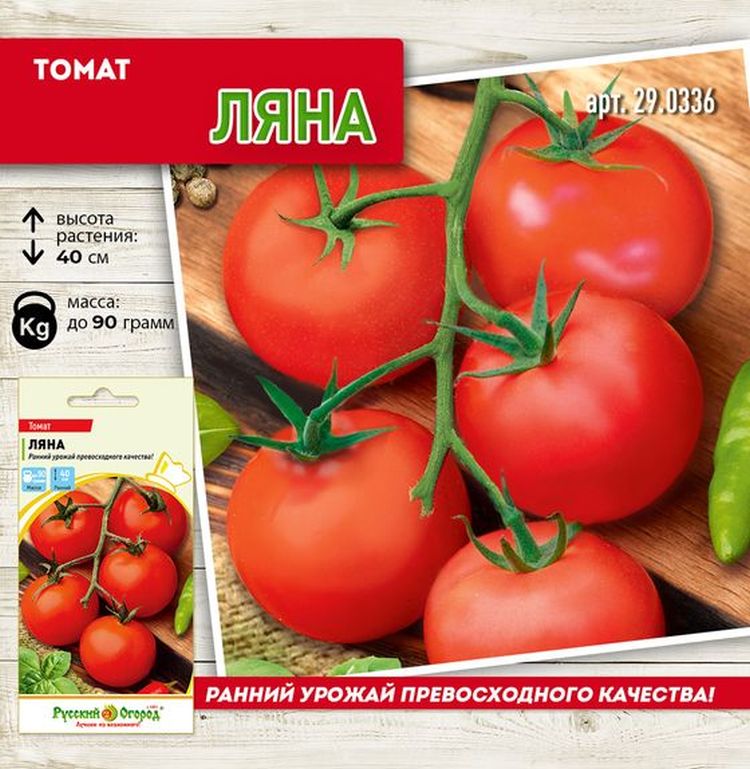 

томат ляна семена, томат ляна семена купить