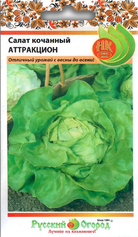 

салат кочанный аттракцион семена, салат кочанный аттракцион семена купить