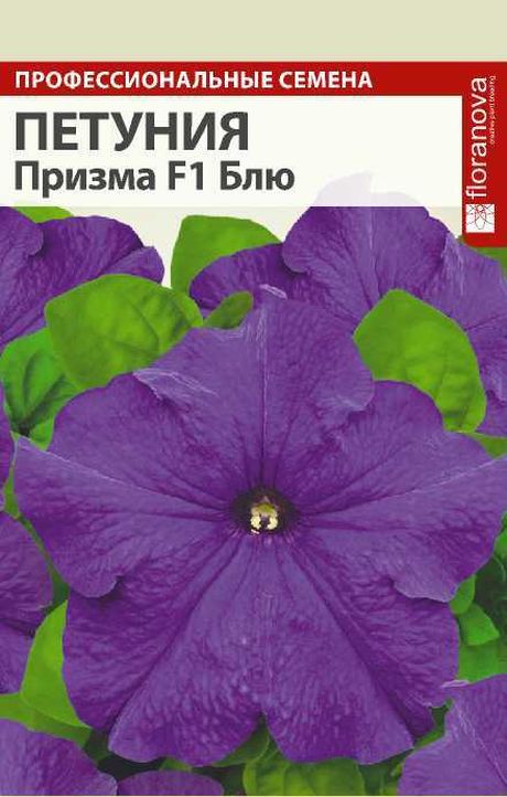 Петуния Призма Блю F1