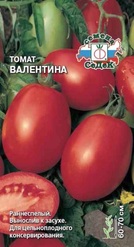 

томат валентина семена, томат валентина семена купить