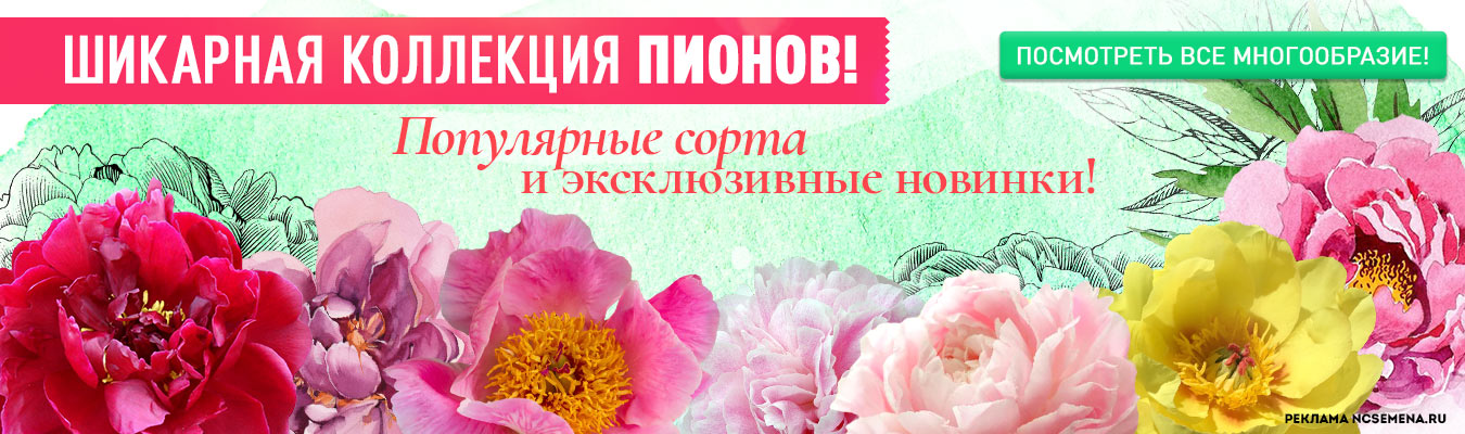 Урожайный сайт ncsemena ru марихуана и заторможенность