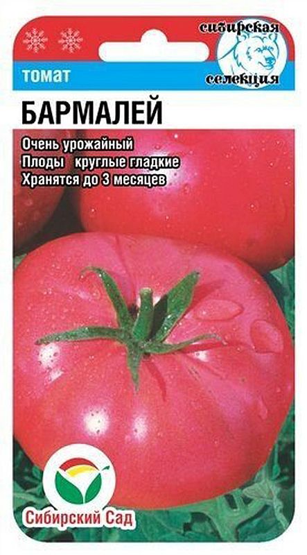 

томат бармалей семена, томат бармалей семена купить