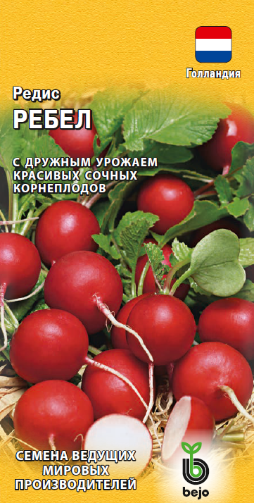 

редис ребел семена, редис ребел семена купить