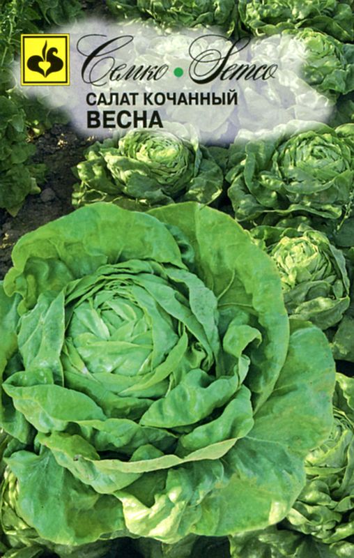 

салат кочанный весна семена, салат кочанный весна семена купить