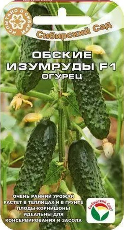 

огурец обские изумруды f1 семена, огурец обские изумруды f1 семена купить