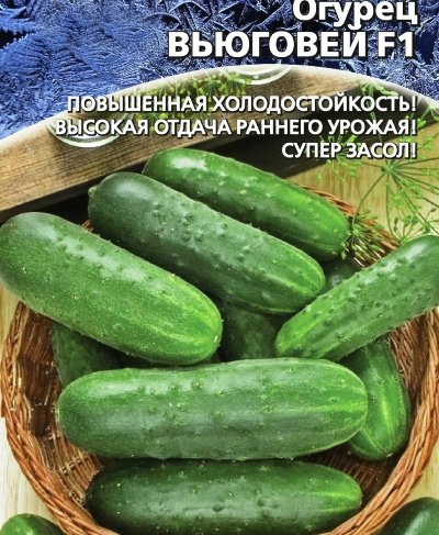 Огурец Вьюговей F1