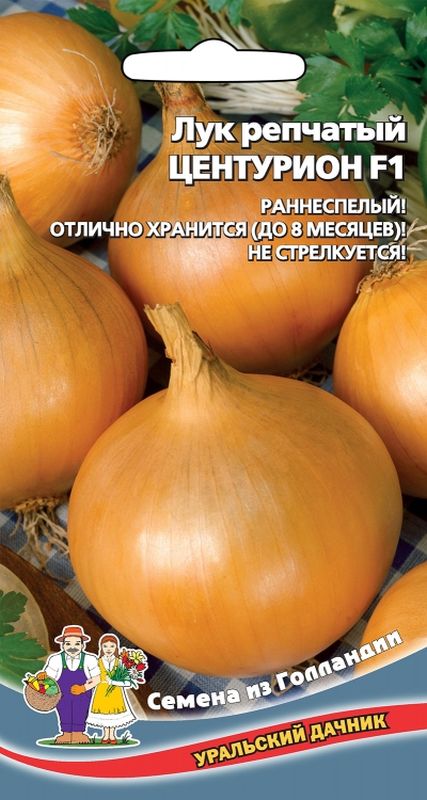

лук репчатый центурион f1 семена, лук репчатый центурион f1 семена купить