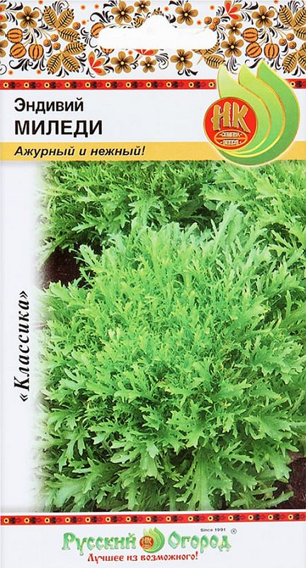 

эндивий миледи семена, эндивий миледи семена купить