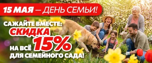 С Днем семьи!
