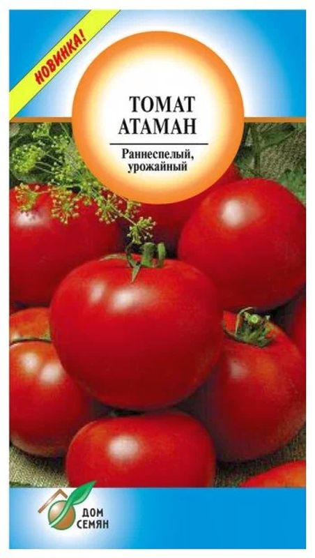 

томат атаман семена, томат атаман семена купить