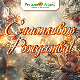 С Рождеством!