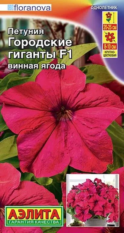 Петуния Городские гиганты F1 винная ягода