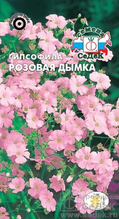 Гипсофила Розовая дымка