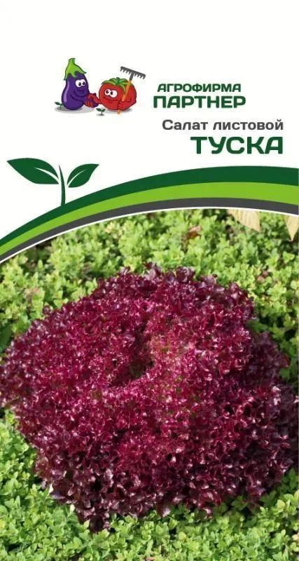 

салат листовой туска семена, салат листовой туска семена купить