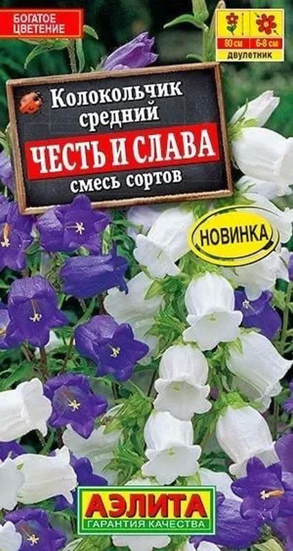 

колокольчик честь и слава, смесь сортов семена, колокольчик честь и слава, смесь сортов семена купить