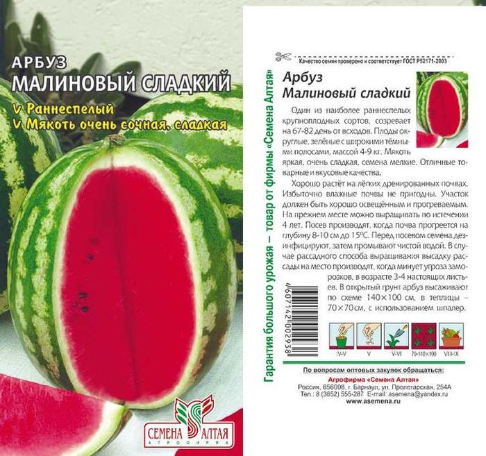 Арбузы температура. Витамины в арбузе таблица. Хороший арбуз в разрезе. Арбузы температура. Разрезанный арбуз.