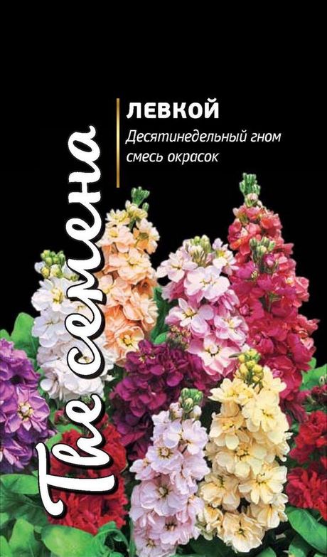 Левкой деситинедельный гном смесь окрасок