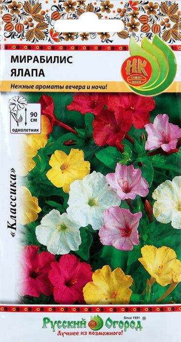 Мирабилис Ялапа