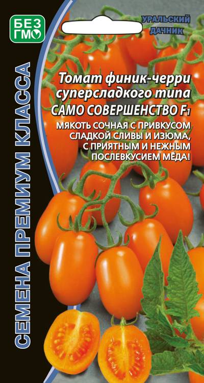 Томат Само Совершенство: описание сорта, характеристики, посадка и выращивание, болезни и вредители. Отзывы и советы