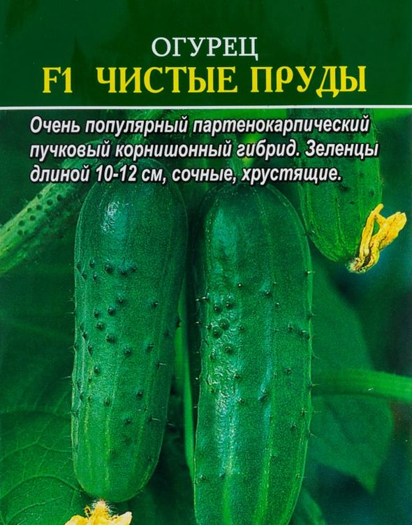 Огурец F1 Чистые пруды