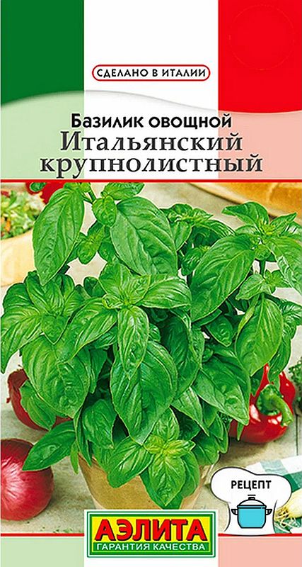 

базилик овощной итальянский крупнолистный семена, базилик овощной итальянский крупнолистный семена купить