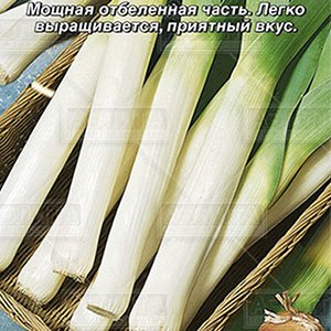 

лук порей бандит семена, лук порей бандит семена купить