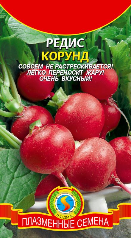 

редис корунд семена, редис корунд семена купить