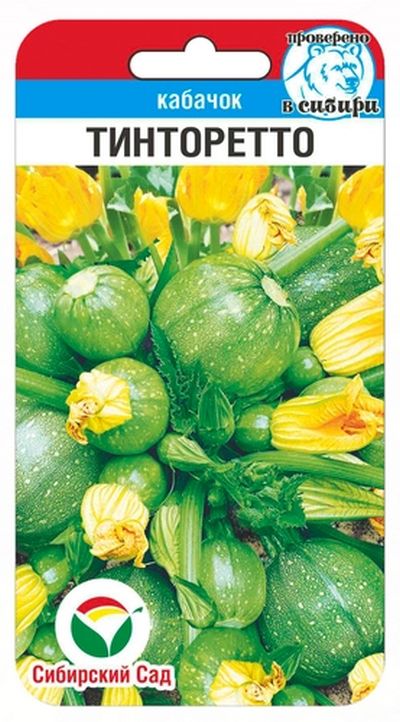 

кабачок тинторетто семена, кабачок тинторетто семена купить