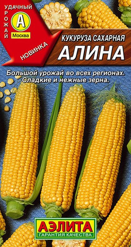 

кукуруза сахарная алина семена, кукуруза сахарная алина семена купить