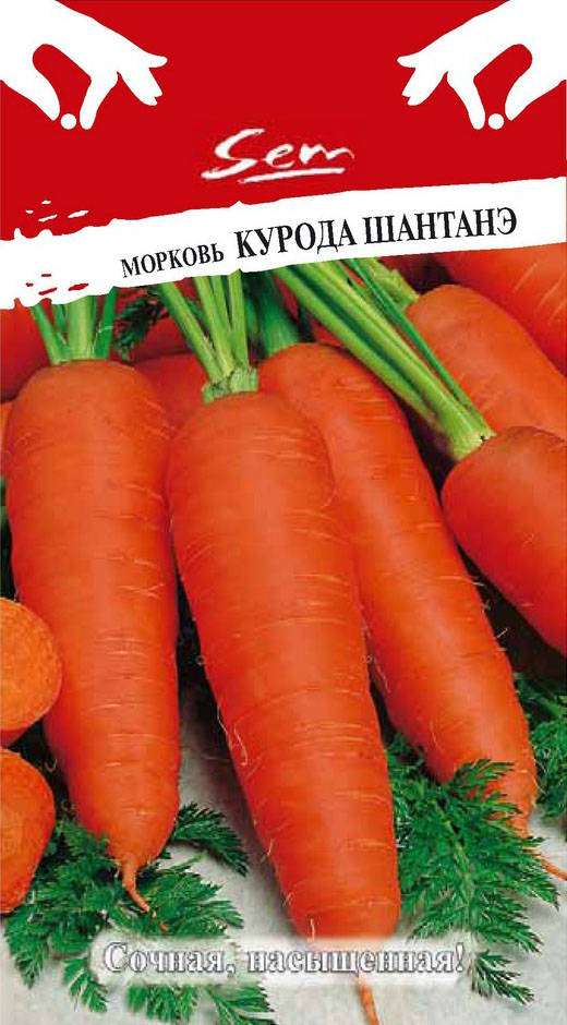 

морковь курода шантанэ семена, морковь курода шантанэ семена купить