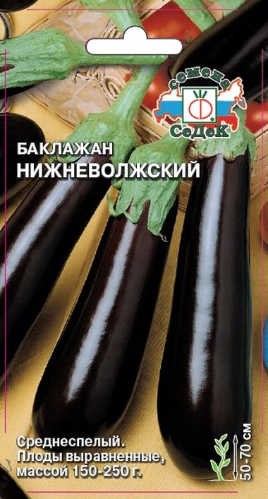 

баклажан нижневолжский семена, баклажан нижневолжский семена купить
