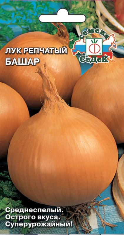 

лук репчатый башар семена, лук репчатый башар семена купить