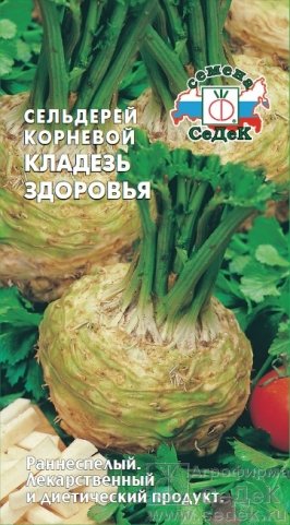 Семена Сельдерей корневой Кладезь здоровья: описание сорта, фото - купить сдоставкой или почтой России