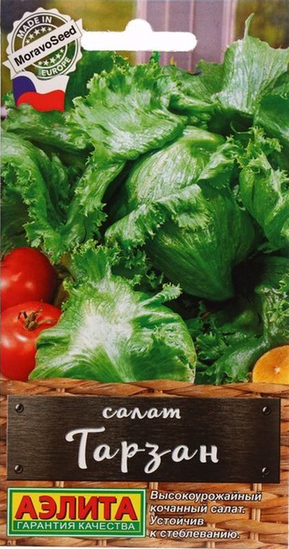 

салат кочанный тарзан семена, салат кочанный тарзан семена купить