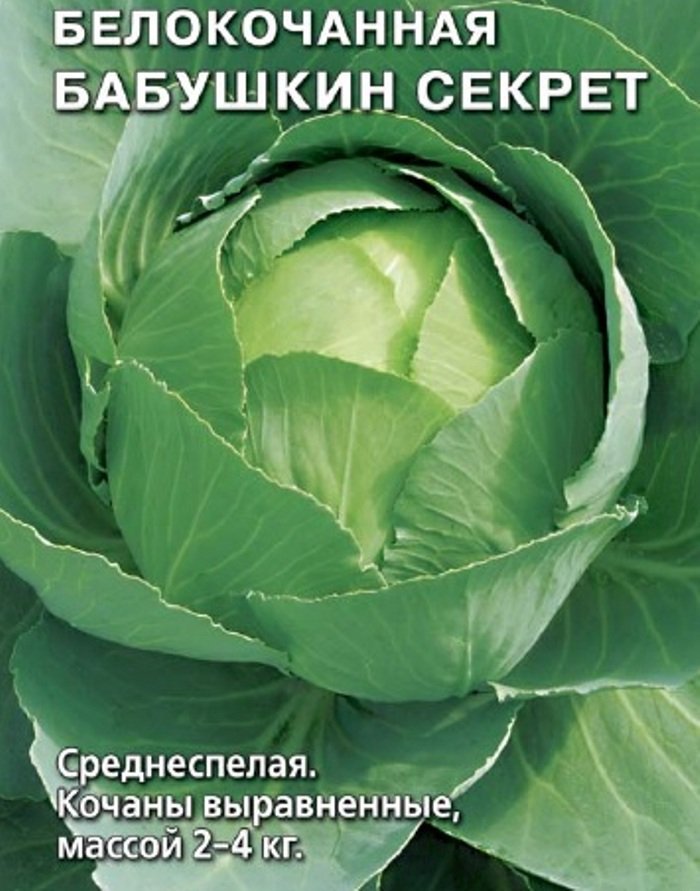

капуста б/к бабушкин секрет семена, капуста б/к бабушкин секрет семена купить