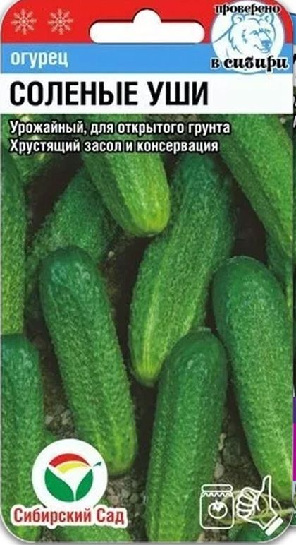 Огурцы соленые уши фото
