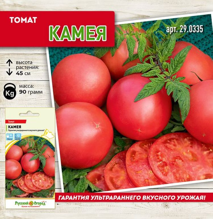 

томат камея семена, томат камея семена купить