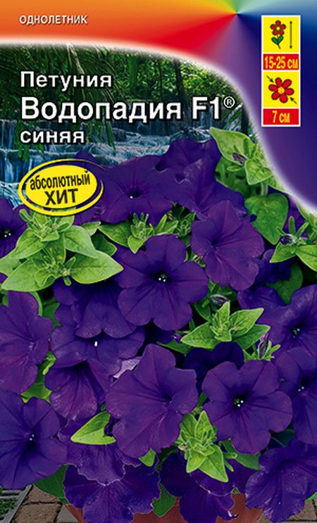 

петуния водопадия f1 синяя® семена, петуния водопадия f1 синяя® семена купить