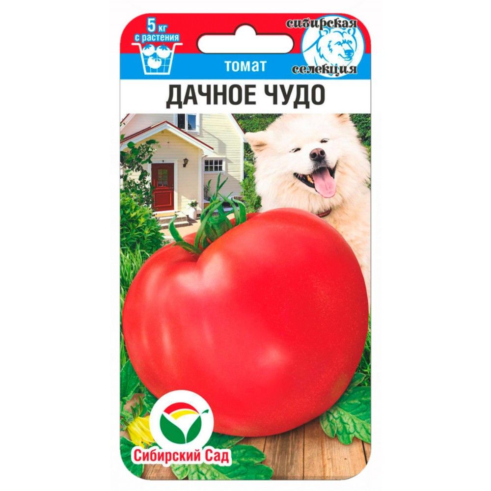 

томат дачное чудо семена, томат дачное чудо семена купить