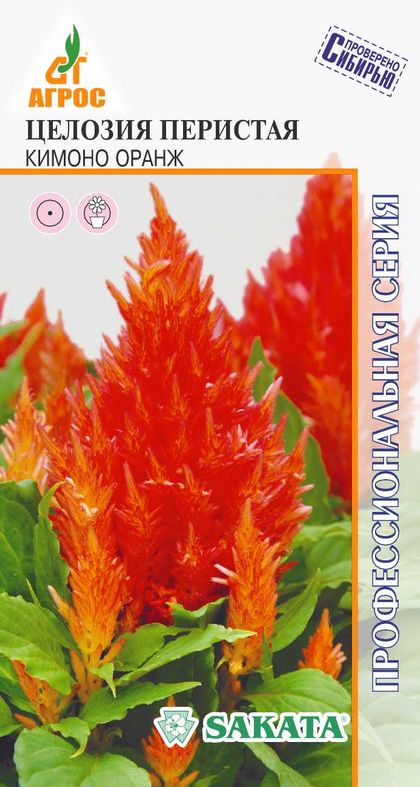 

целозия кимоно оранж семена, целозия кимоно оранж семена купить