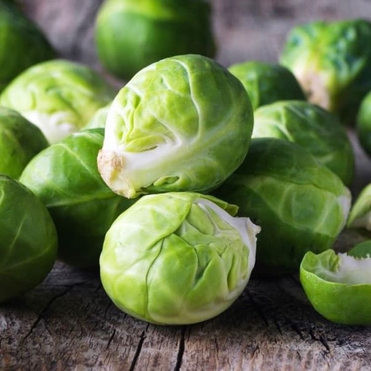 капуста брюссельская геркулес. капуста маленькие кочанчики как называется. капуста маленькие кочанчики как называется. капуста брюссельская сапфир. крестоцветные брюссельская капуста.