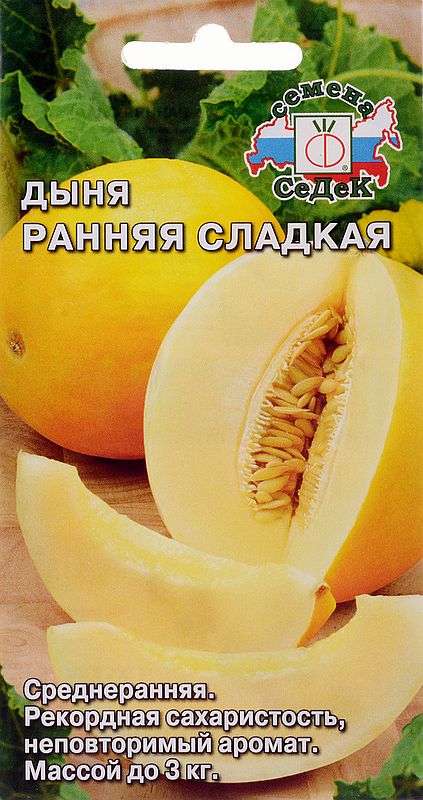 

дыня ранняя сладкая семена, дыня ранняя сладкая семена купить