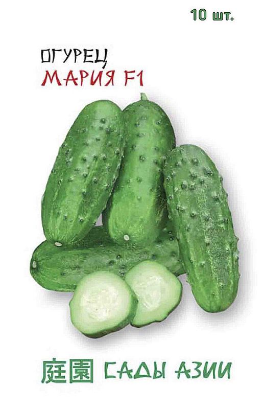 

огурец мария f1 семена, огурец мария f1 семена купить
