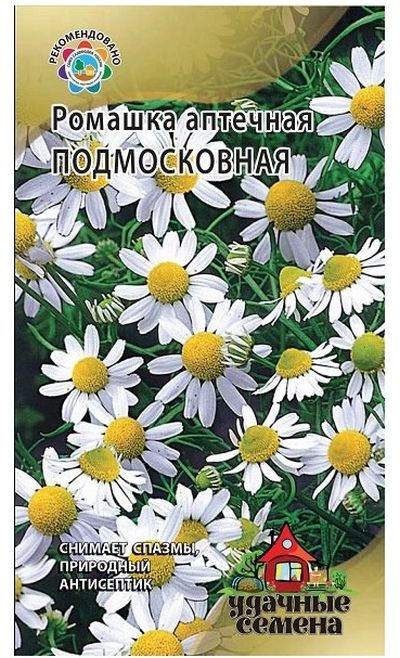 Ромашка Подмосковная