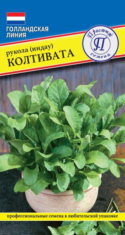 

рукола колтивата семена, рукола колтивата семена купить