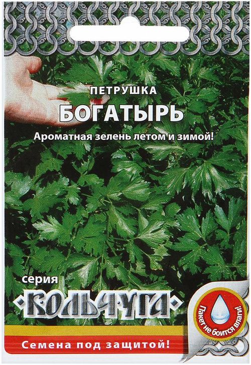 

петрушка листовая богатырь "кольчуга new" семена, петрушка листовая богатырь "кольчуга new" семена купить