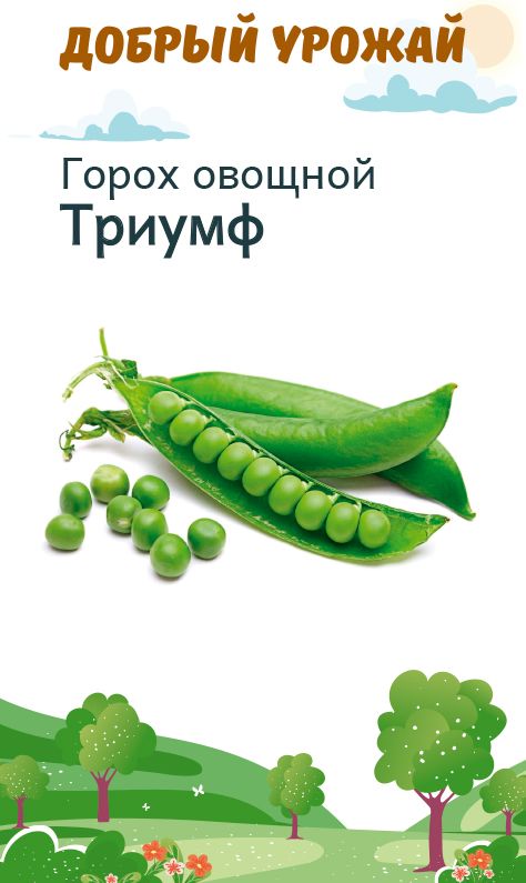 

горох триумф семена, горох триумф семена купить
