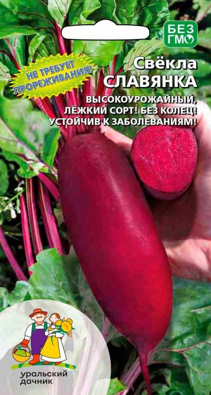 Свекла Славянка Описание Сорта Фото