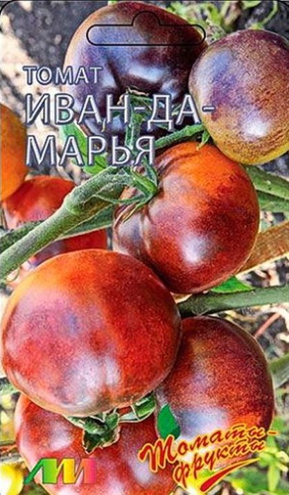 Томаты иван да марья отзывы фото