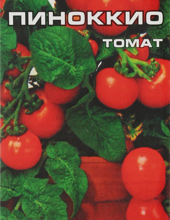 

томат пиноккио семена, томат пиноккио семена купить